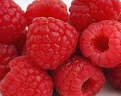 Berry Juice- facial serum with coenzyme Q 10