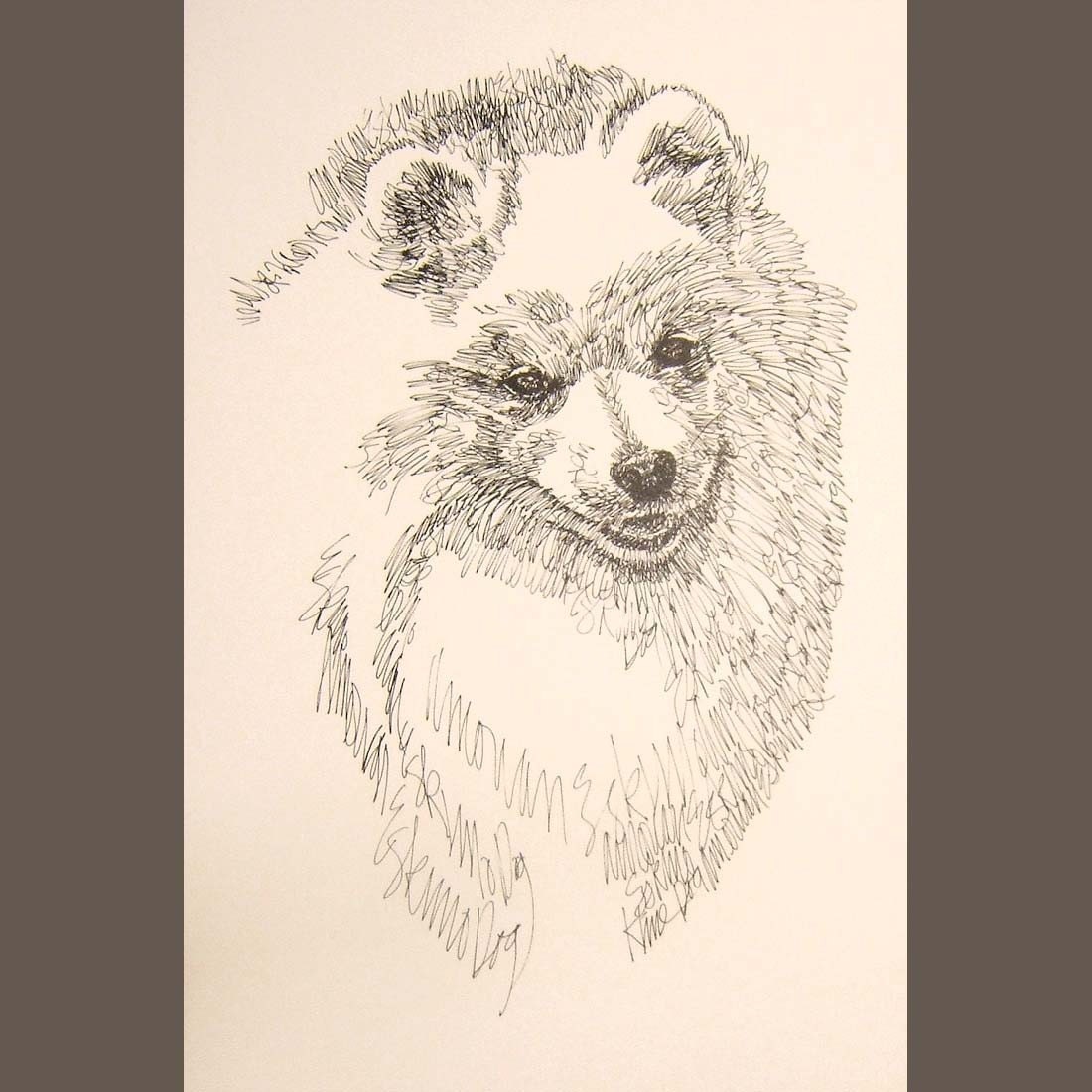 American Eskimo Dog - Artist Kline draws his dog art using only words. Signed 11x17 Lithograph 133/500 - Your Dogs Name added Free