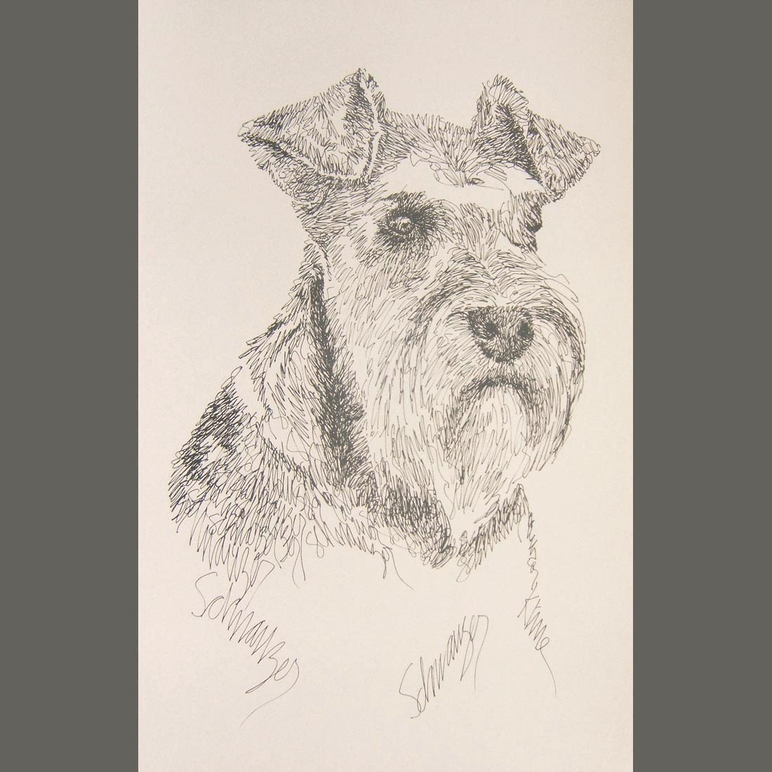 Miniature Schnauzer - Artist Kline draws his dog art using only words. Signed 11x17 Lithograph 44/500 - Your Dogs Name added Free