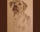 Rhodesian Ridgeback - Artist Kline draws dog art using only words. Signed 11x17 Lithograph 58/500 - Artist Adds Your Dogs Name Into Art Free