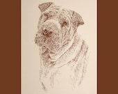 Shar Pei - Artist Kline draws dog art using only words. Signed 11x17 Lithograph 54/500 - Artist Will Add Your Dogs Name Into Art Free