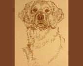 Golden Retriever - Artist Kline draws dog art using only words. Signed 11x17 Lithograph 87/500 - Artist Adds Your Dogs Name Into Art Free