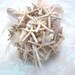 Wistful La Digue Seashell Bridal Bouquet and Boutonnierre IN STOCK