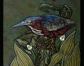 FIVE 5 X7 MINNESOTA SPECIES SERIES CARDS