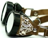 SALE Brown and Silver Victorian Goggles