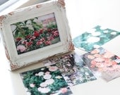 photographic print, in the greenhouse 7, 4 x 6"
