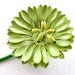 STOREWIDE SALE Vintage Wildflower Brooch Lime Chartreuse Green Enamel Flower Floral Jewelry Pin (Free Shipping USA)