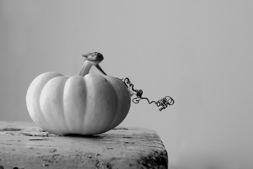 Minimal Pumpkin 8x12 signed black and white photo Fall Autumn shabby home decor earthy natural beauty for Halloween