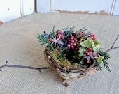 Birds Nest with Dried Flowers, Berries, and Evergreens