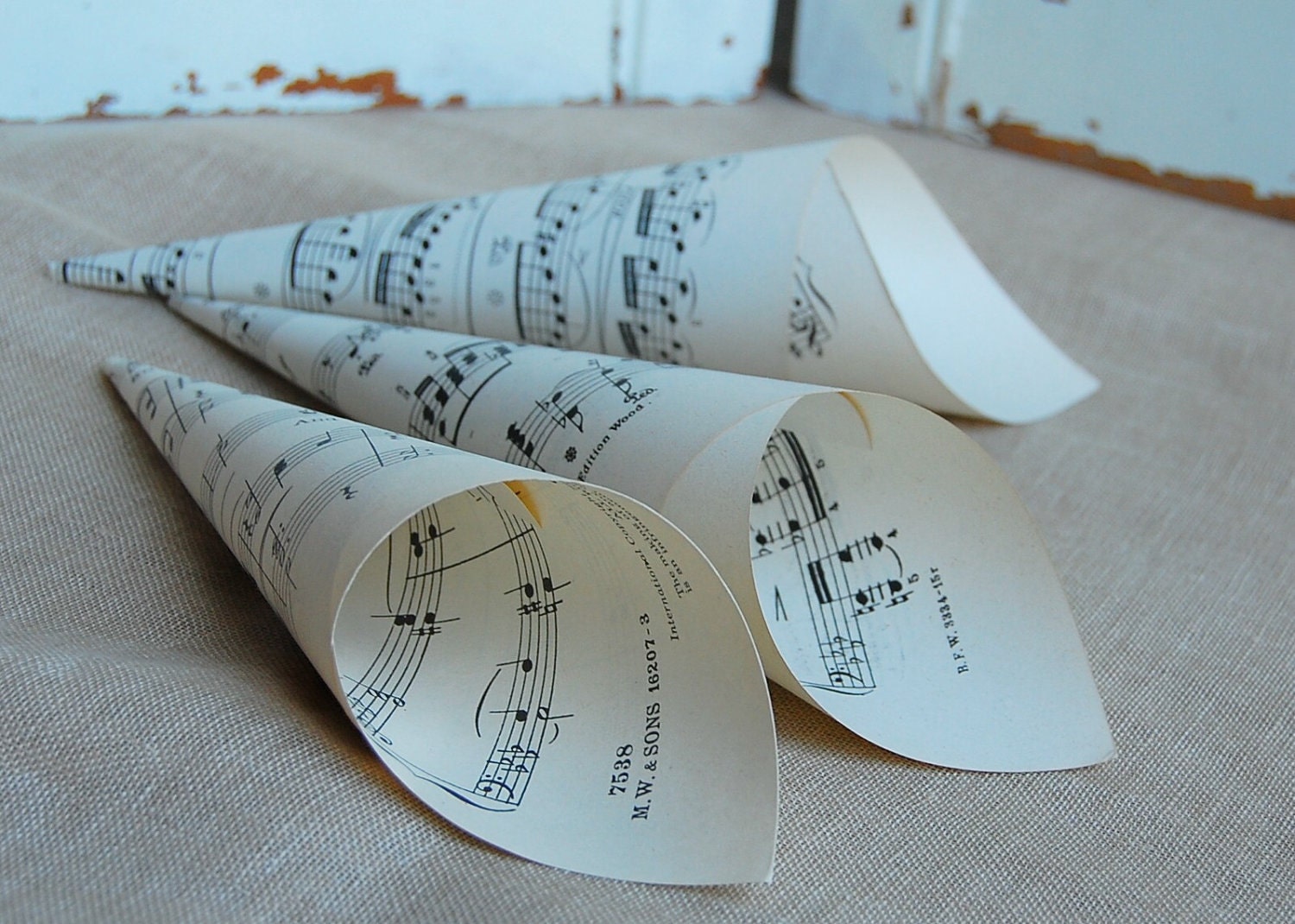 Paper Cones Wedding  Petal Cones Confetti Cones  Set of 12