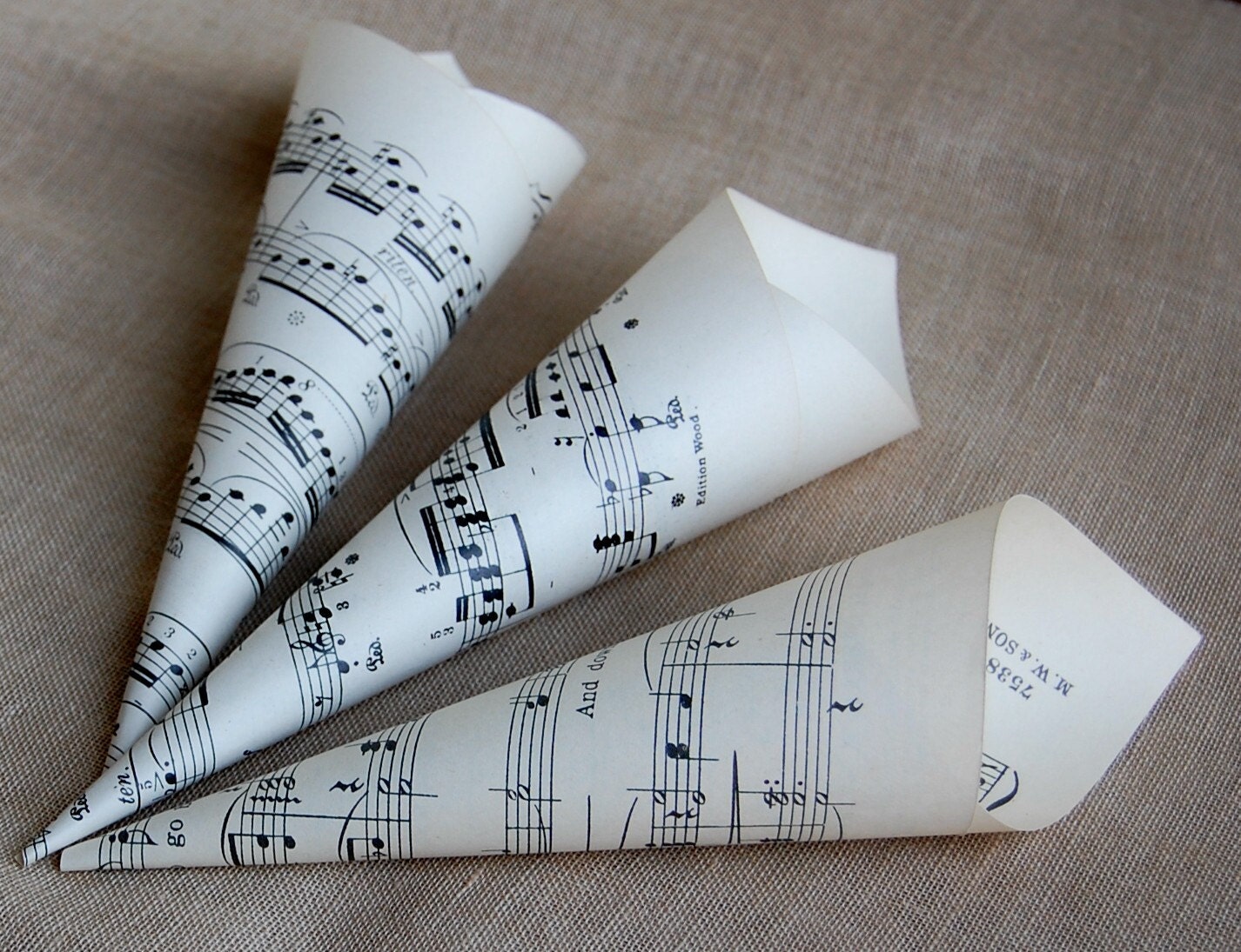 Paper Cones Wedding  Petal Cones Confetti Cones  Set of 12