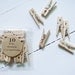 Mini Clothespins