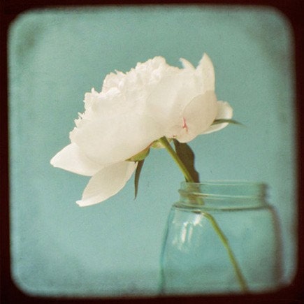 Pink Peony Flower Photo - Floral Wall Art - TTV Fine Art Photograph
