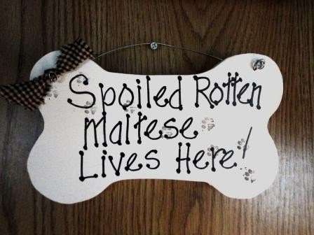 Maltese Dog  wood sign  Spoiled Rotten Lives Here