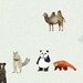 Animal World Map