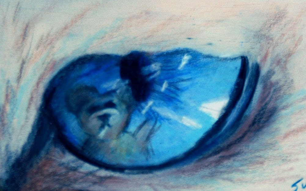 original art drawing aceo card cat eye sees teddy bear