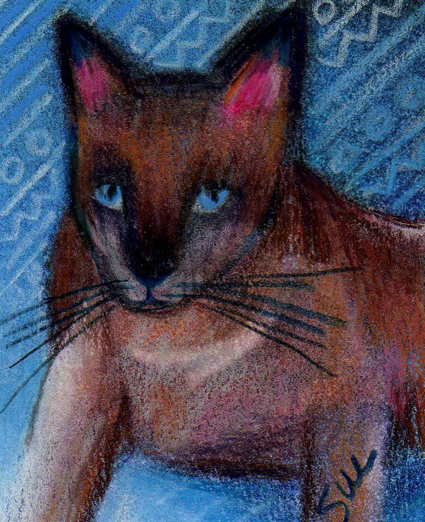original art aceo drawing Siamese cat zentangle