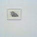 original etching of a shouting bird,hand pulled