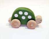 Eco- friendly Homeless Turtle