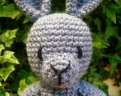 Rosie Rabbit pdf