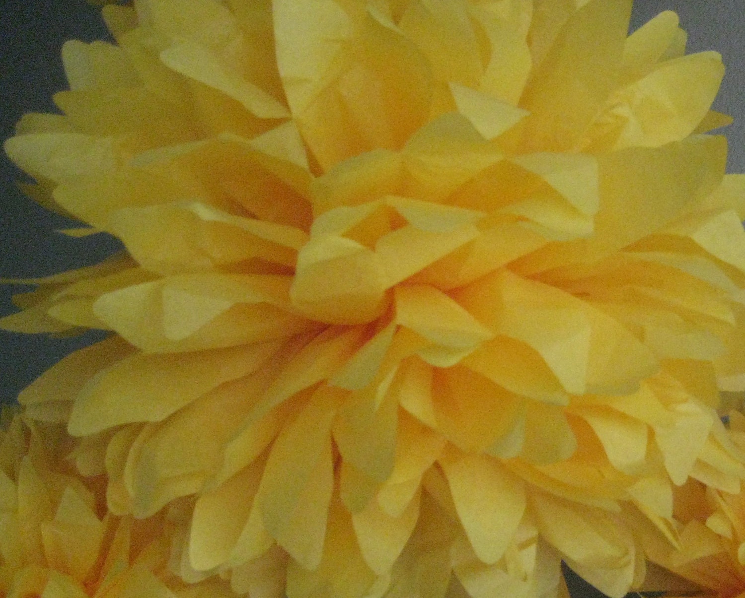 Buttercup - 1 Tissue Paper Pom Pom Flower - Cocktail Hour Bar Decoration - Guest book table Il_570xn