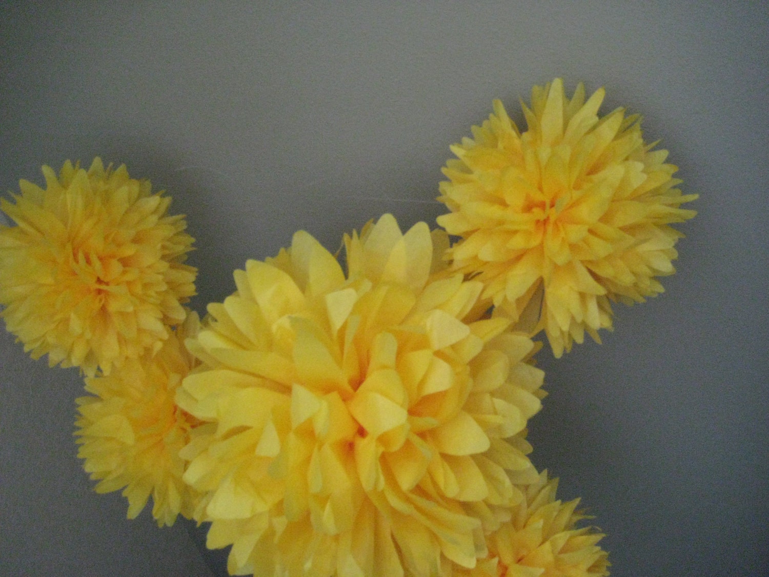 SALE - 6 Tissue Paper Pom Pom Kit - Pick Your Colors - Portland Original Il_570xn