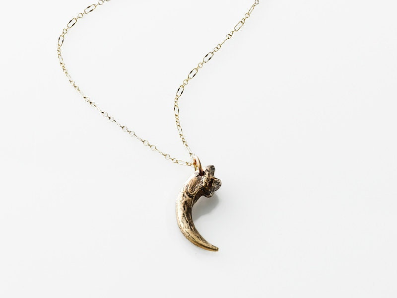 Great Horned Owl Talon Necklace - Bronze