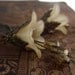 Cream Flower Earrings Victorian Vintage Style Antique Brass
