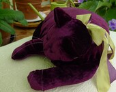 A Pansy Purple Velvet Cat
