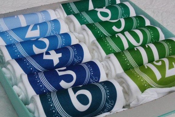 Squiggle Solid - Blues and Greens - Set of 12 Monthiversaries