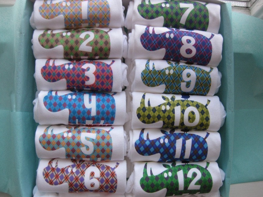 Argyle Rhino Monthiversary - Set of 12 Onesies