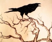 Crow 11 - original charcoal drawing , abstract raven art 6x9,5 inch