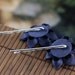 Flower Bobby Pins: Kanzashi Hair, Geisha, Blue and Black Silk - Night Storm