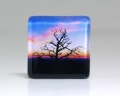Sunset tree glass tile magnet