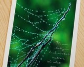 Suspended in time web photo note card beautiful dew with emerald green and inspirational quote