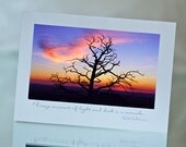 Sunset twilight tree photo note card
