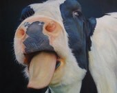 Sam Dolman Cow Animal Limited Edition Print