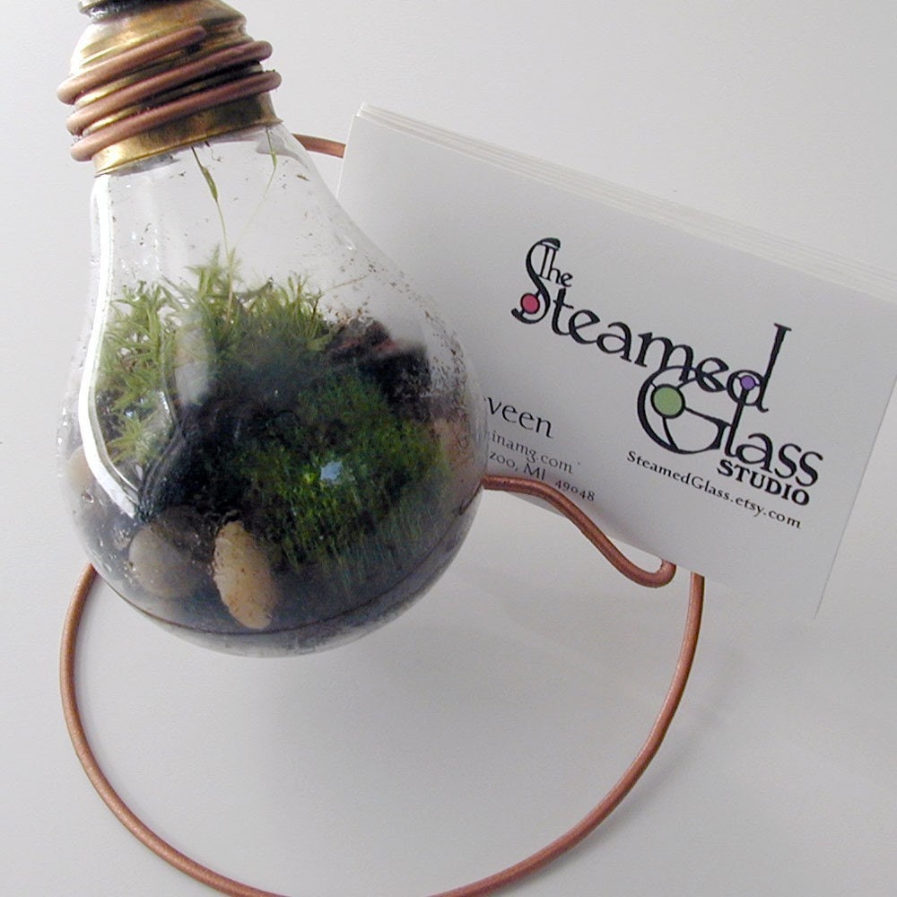 Business Card Display - featuring Plain 25 watt Moss Terrarium - Card on Right