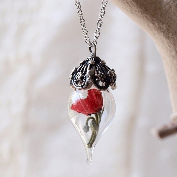 Red Poppy Tiny Flower Terrarium Necklace Glass Vial by Woodland Belle