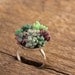 RESERVED Ring Succulent Garden