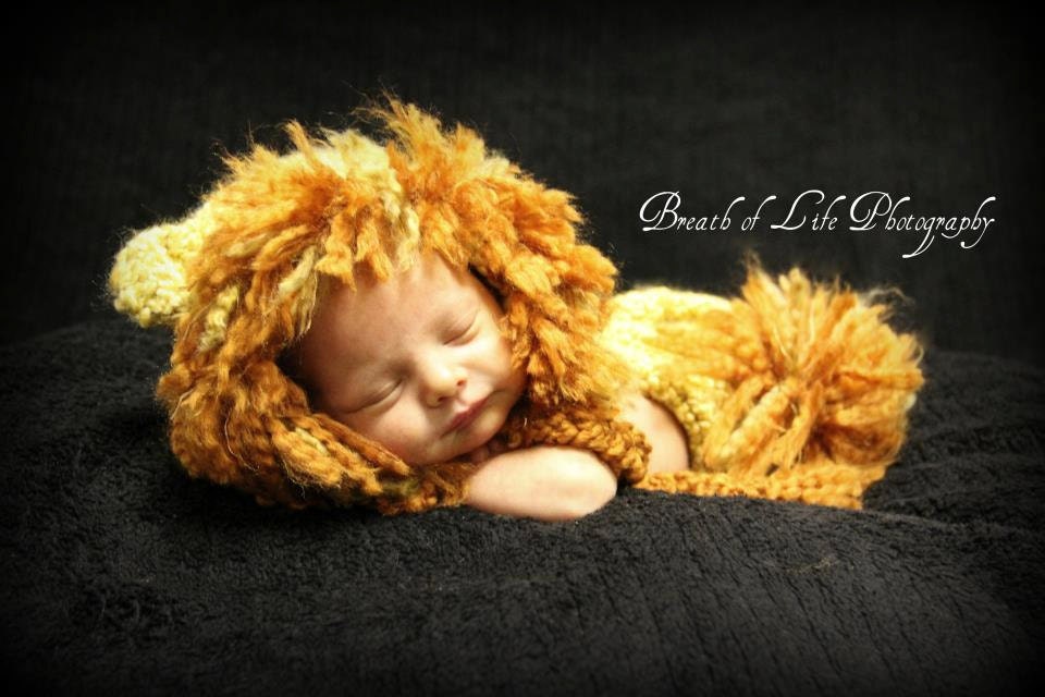 Newborn Little Lion Eaflap Hat and Matching Lion Diaper Cover - Photography Prop (Golden, Barley and Rust)