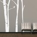 Large Birch Tree Vinyl Wall Decal Kit