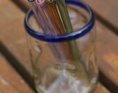 Eco Glass Straw - Polychrome Set 2 - 4 Boro Glass Straws - Lifetime Guarantee - Sip in Colorful Eco Style