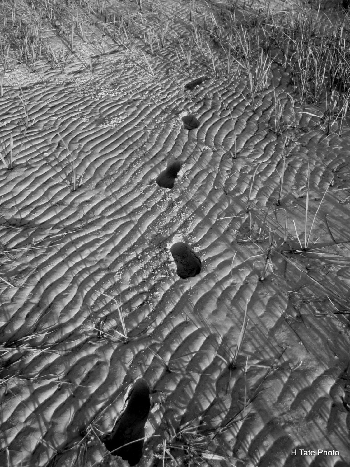 Soft Sand