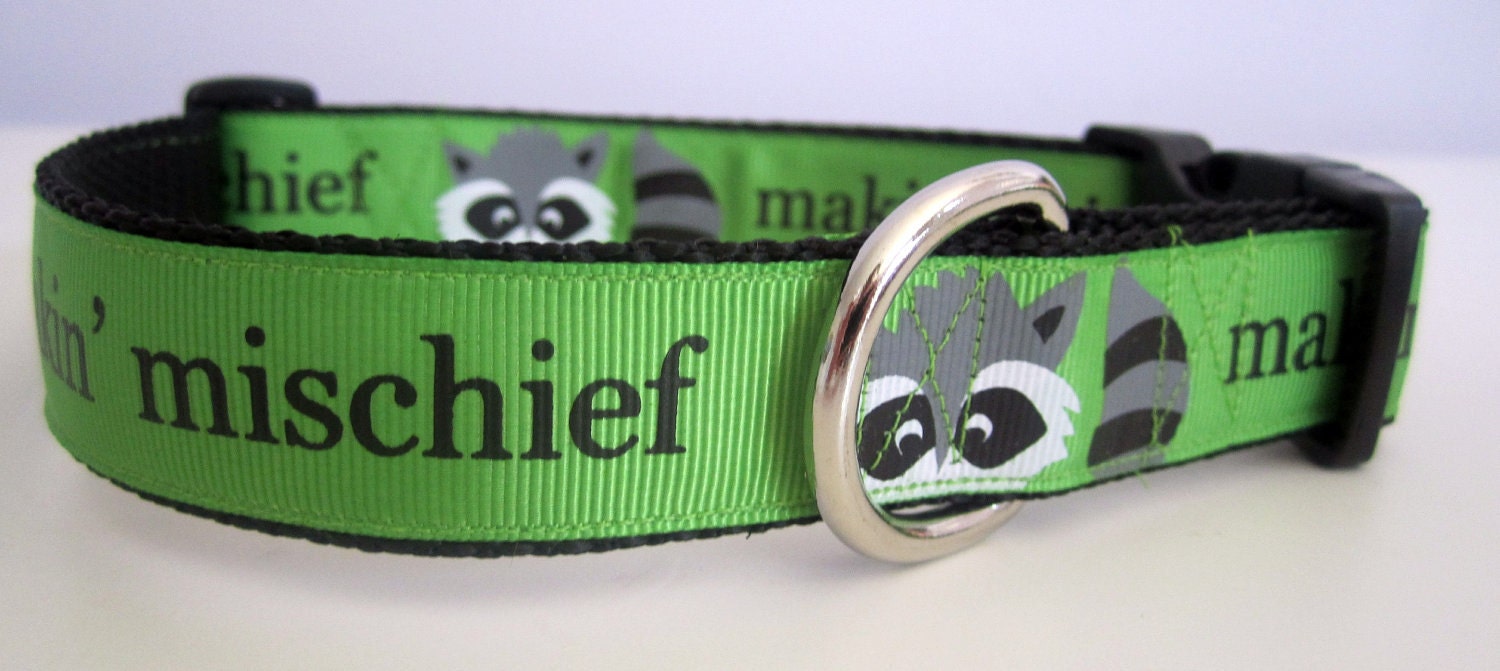 Makin' Mischief Dog Collar
