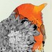 Orange Bird - Giclee Print, 10x10