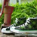 Forest Glen Knit Chucks