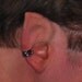 Small Elf Ears- Lord of the Rings, LARP, costume