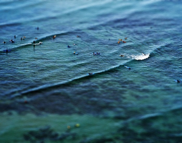 Surfers - 8x10 print