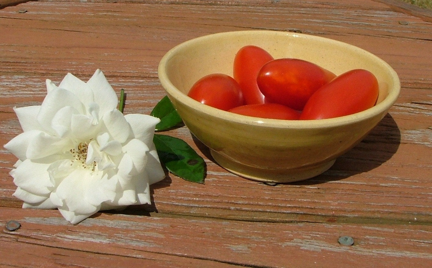Bowl of Sunshine - Small Yellow Bowl